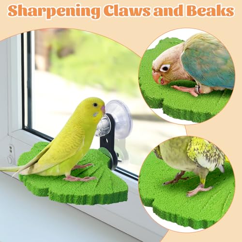 3PCS Bird Perch Bird Beak Grinding Stone with Suction Cups for Small Birds Foot Claws Trimmer Bird Stand Platform Parakeet Cage Perch Parrot Cage Accessories for Indoor Window Viewing (Green) - color: Green, size: Suction cup style