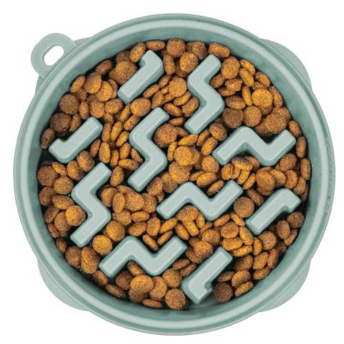 Outward Hound Medium Slow Feeder Bowl, Puzzle Maze for Fast Eaters, Small to Medium Dogs, Helps Prevent Bloat & Aid Digestion, Holds 2 Cups Wet or Dry Food, Non-Slip, Made Without BPA, Sage - color: Sage, size: Medium