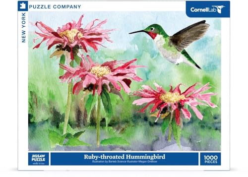 New York Puzzle Company - Cornell Lab Ruby-Throated Hummingbird - 1000 Piece Jigsaw Puzzle for Adults by Megan Gnekow - color: Ruby-throated Hummingbird 1000 Piece