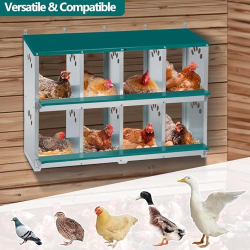 Chicken Nesting Box, 8 Compartment Metal Nesting Box | Wall Mountable Nesting Boxes for Chicken, 42.5" L x 13.0" W x 25.0" H, Green
