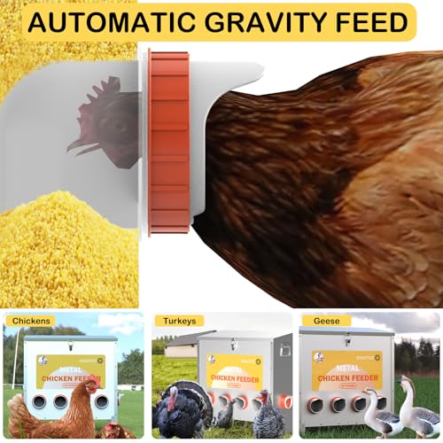Automatic Chicken Feeder No Waste Metal Poultry Feeder Large Capacity 85 lbs for Chickens, Geese, Ducks, Turkeys, Quails (6-Port) - size: 6-Port