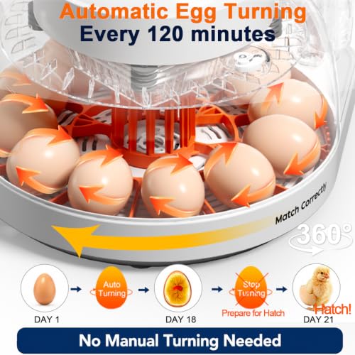 Upgraded Egg Incubator for Hatching Eggs, 12 Egg Capacity with Automatic Egg Turner, Temperature & Humidity Control, LED Egg Candler, Chick Incubator for Chicken, Duck & Quail Eggs - size: 12 EGGS