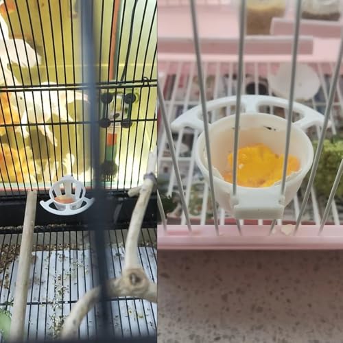 4 Pack Bird Egg Feeder Hanging Cage Protein Boiled Egg Holder Tray Bird Mineral Blocks Holder Food Bowl for Parrot Rock Ball Calcium Teeth Chew Toy Seat Ball Suet Dough Parakeet Cockatiel