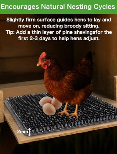 Washable Nesting Pads for Chicken Coop, 4-Pack, 13×11 in Reusable Nest Box Liners, Trim-to-Fit Open-Grid Design for Cleaner Eggs, Poultry Habitat Supplies for Chicken Coop (Black) - color: Black, size: 4-Pack