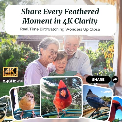 Smart Bird Feeder with 4K AI Camera Solar Powered | Hummingbird Feeder Kit Included, AI Identification Bird Specie, 4K Live Stream, Real-Time Bird Visit Alert, Birdwatching Gift