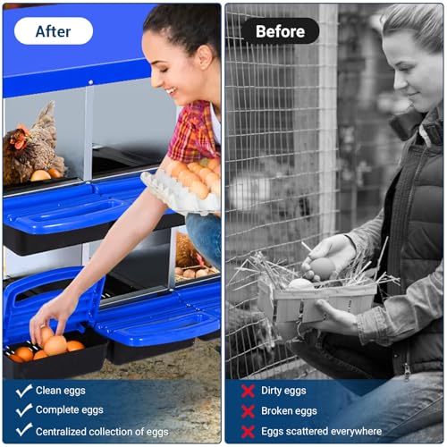Chicken Nesting Box，Blue 8 Hole Chicken Laying Box, Tray for Easy Egg Collection, Large Holes for Ventilation, Suitable for Chickens & Ducks - color: Blue, size: 8 Holes