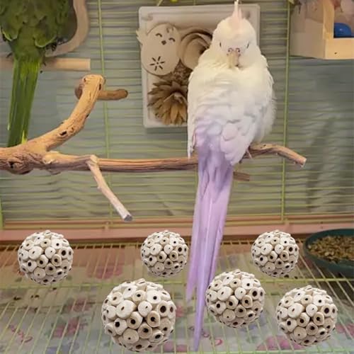 LWINGFLYER 6 Pieces Sola Atta Ball Parrot Biting Toy Bird Chew Accessories Natural Sola Plant Material for Birds, Rabbits, Hamsters and Small Pets.