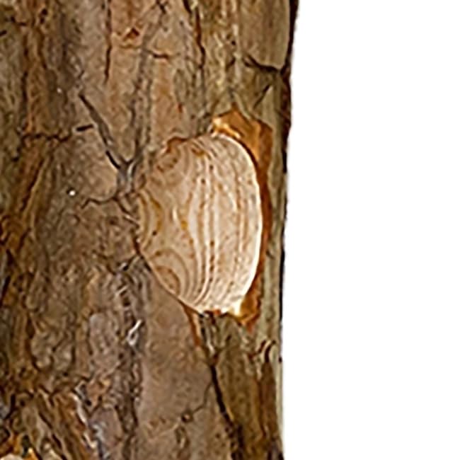 Cedar Suet Log Feeder by Prime Retreat