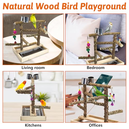 BNOSDM Natural Wood Bird Playground for Training & Playing, Parrot Perch Stand Jungle Gym with Detachable Tray & Stainless Feeder Cups Parakeet Cage Playstand for Budgie, Cockatiel, African Grey - color: Double Column Bird Stand