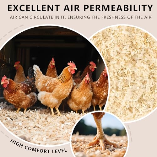 Pine Shavings | Wood Shavings | Chicken Coop Bedding | All Natural | Chicken Coop | Chicken Bedding | Pet Bedding | Small Animal Bedding | Odor Control (1 LB) - size: 1 LB
