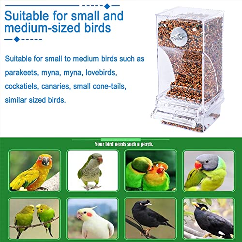 Hamiledyi No Mess Bird Cage Feeder 2Pack Automatic Parrot Seed Feeders with Perch Acrylic Transparent Seed Food Container Cage Accessories for Small and Medium Lovebirds Parakeets - color: Transparent + Perch - 2 Pcs