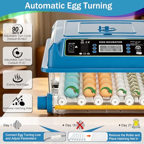 36 Eggs Incubators for Hatching Eggs,Egg Incubator with 4 Auto Incubate Mode, Chicken Incubator with Humidity Display Auto Water Filling,Quail Incubator with Automatic Egg Turning(Blue) - color: Blue, size: 36 Egg