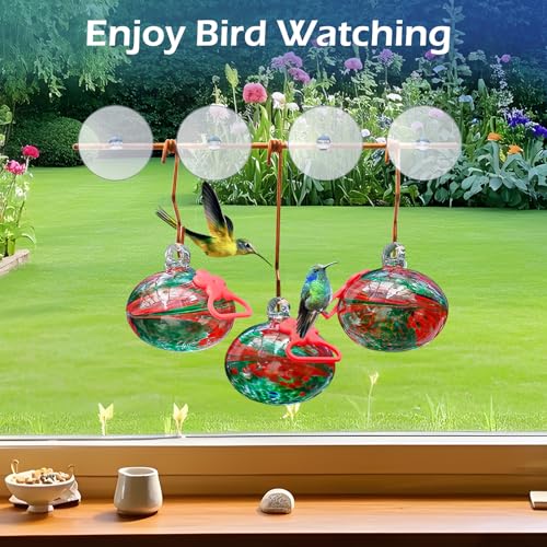 Pozfun Window Hummingbird Feeder with Suction Cups,Hand-Blown Glass Hummingbird Feeders for Outdoors Window Mounted with Metal Hook,Close Bird Watching,Finch in Garden,Yard(Red) - color: Phoenix Tail Red