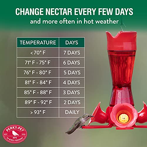 Perky-Pet Hummingbird Nectar Concentrate for Hummingbird Feeder - 32 oz - Makes 96 FL OZ of Food Nectar - 238CL,(Pack of 2) - size: 32 Fl Oz (Pack of 2)