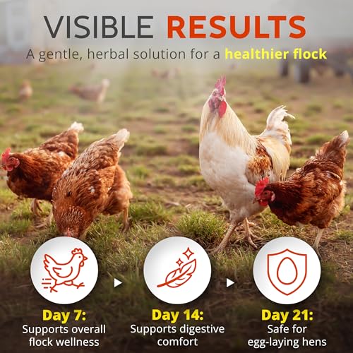 WormStop Natural Chicken Dewormer Powder – All-Natural Herbal Blend for Daily Wellness - Chicken Wormer is Safe for Eggs & All Ages - Garlic, Pumpkin Seed, Wormwood - USA (8 oz)