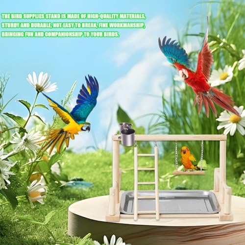 Bird Playground, Natural Wood Bird Perch Stand with Removable Tray and 2 Stainless Steel Feeder Cups, Parrot Playstand Bird Cage Toys for Conure Parakeet Cockatiel Parrot (B) - color: B