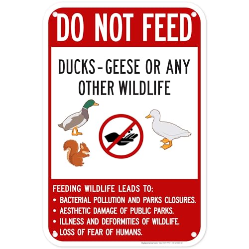 Do Not Feed Ducks Geese Or Any Other Wildlife Sign Sign, 12x18 Inches, 55 mil thick HDPS (high density polystyrene), Made in USA by My Sign Center - size: 12x18 Polystyrene