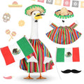 Abbylike Cinco De Mayo Porch Goose Outfit 4 Pcs Mexican Fiesta Yard Goose Costume for 23 Inch Cement Porch Geese, with Sombrero Beard Flag for Outdoor Garden Patio Statue Decor - style: Mexican Fiesta Beard