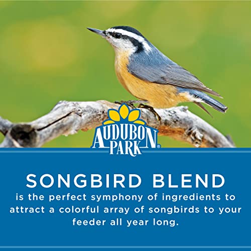 Audubon Park Songbird Wild Bird Seed, 14 lb. | Year-round outdoor bird food for outside feeders - size: 14 Pound (Pack of 1)