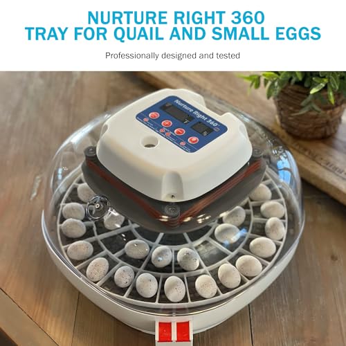 Durable Egg Tray for Nurture Right 360 Egg Incubator, 48 Quail/Bird Eggs - size: 12.3"L x 12.3"W x 0.7"H
