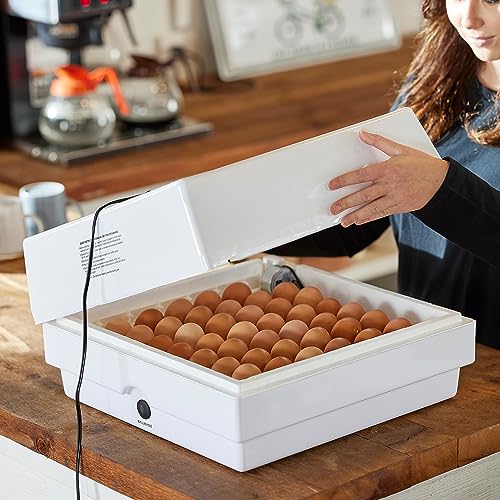 Farm Innovators Egg Incubator with Automatic Egg Turning & Humidity Control, Egg Candler w/Digital LCD Display for Improved Hatching, 3 Pack, White