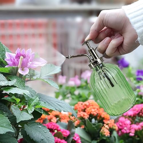 Glass Plant Mister Spray Bottle, 320ML Vintage Plant Spritzer with Top Pump Watering Can for Indoor Outdoor House Plants, Flowers (Green) - color: Green