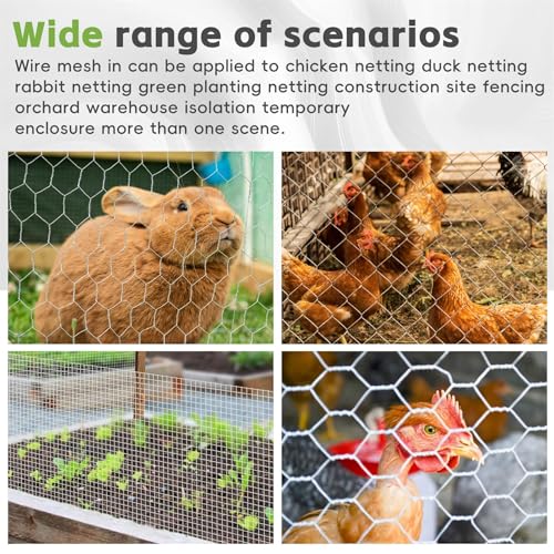 6FTx150FT Chicken Wire Netting 2IN Galvanized Wire Mesh Hexagonal for Poultry Garden Fencing Barrier - size: 6FTx150FT