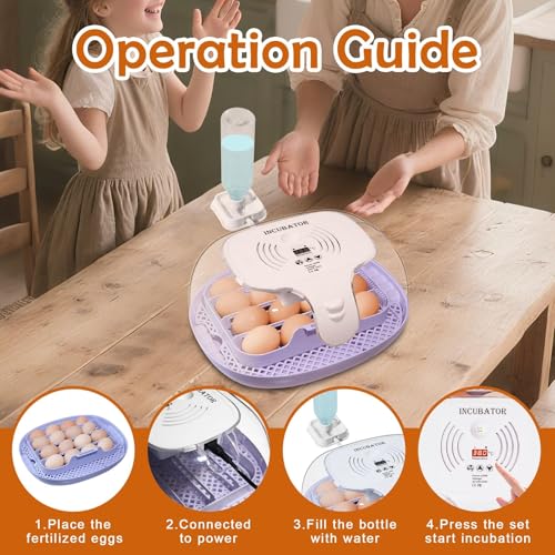 16 Egg Incubator with Automatic Egg Turning and Humidity Control,360 Degree View with Clear Window, Incubators for Hatching Eggs, Chicken, Ducks, Goose, Pigeon, Quail, Parrot - size: 16 Eggs