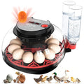 12 Egg Incubators for Hatching Eggs Automatic Egg Incubator with Temperature Control Humidity Control and Display for Chicken Duck Quail Eggs Auto Turner, Black red