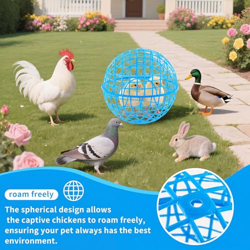 AceOrbit 3 Pack Rolling Chicken Ball Cage, 2026 Mobile Mesh Poultry Coop Ball for Free Range, Safety Globe Hutch for Chicks, Ducklings & Small Pets Outdoor Exercise and Roaming(11.02 Inch,Blue) - color: blue, size: 11.02 Inch