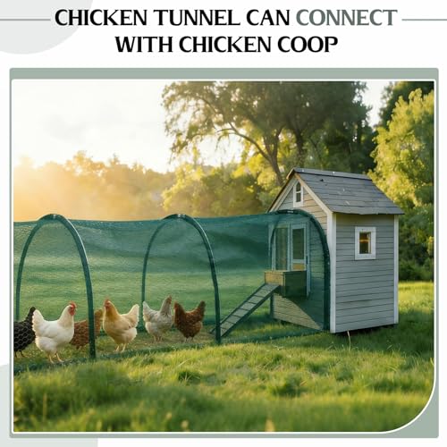 Foldable Chicken Tunnel – Instant Setup, No Assembly Required, 157 Inch Portable Chicken Run for Yard, Expandable Outdoor Tunnel (157 * 30 * 24 inches)