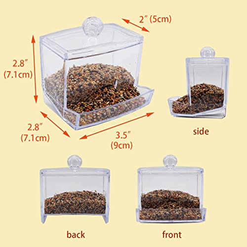 Button Quail Transparent Automatic Feeder Feed Box Seed Food Container