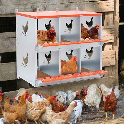 6 Bay Orange Metal Nesting Box, Wall Mount Chicken Nest for Hens & Ducks, Heavy Duty Galvanized Steel with Hen-Shaped Vents & Coconut Fiber Pad, Easy Assembly (Orange/Silver) - size: 31.8” L x 17” W x 25” H