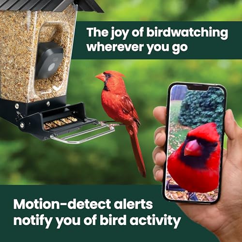 Perky-Pet SPCAM Perky-Pet Smart Bird Feeder with Camera - Squirrel-Resistant, 3.5 lb Capacity, Motion Activated 1080p HD, Wi Fi, SPCAM - Camera Feeder Gift Idea