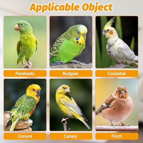 BNOSDM Automatic Bird Water Dispenser 2 Pcs No Mess Parrot Cage Water Feeder Drinker Suspended Bird Drinking Device Parakeet Cage Accessories for Budgies, Cockatiel, Conure, Canary, Finch (White) - color: 2 Pcs White Automatic Bird Water Dispenser