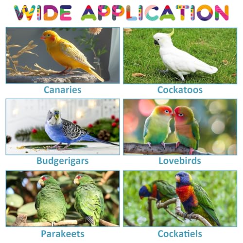 10 PCS Bird Perch Parrot Stand Wood Parrot Perch Stand Platform Natural Paw Grinding Stick Bird Cage Accessories for Budgies Cockatiels Cockatoo Conure Parakeet