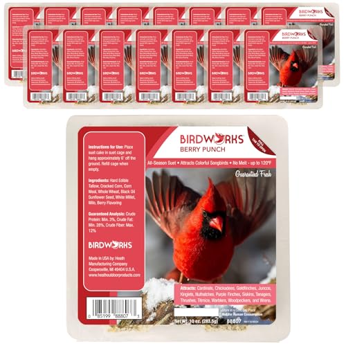 Heath Outdoor Products Berry All Season No Mess Suet Cake Birders Pack, Food for Woodpeckers, Cardinals, Siskins, Sparrows, Finch's & Many More Wild Birds & More - 10oz Suet Feeder, (Pack of 16) - size: 10 Ounce (Pack of 16), style: 16 VALUE PACK