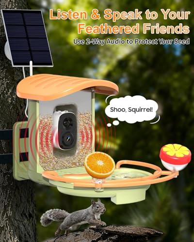 Bird Feeder with Camera, 2K HD Camera Birds Feeder with AI Bird Recognition, Solar Powered Smart Birdfeeder with Bath, App Control, Color Night Vision, Gift Box Package, Easy Install - color: Green, size: Bath