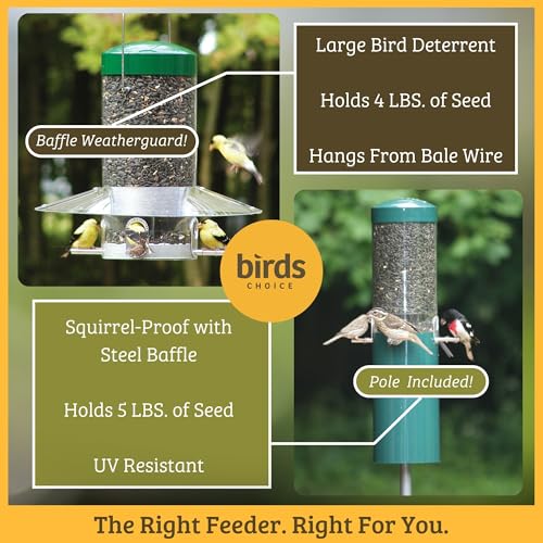 Birds Choice Classic Hanging Bird Feeder with Weatherguard Baffle | Squirrel Proof Bird Feeder for Cardinals, Chickadees, Woodpeckers | Sturdy Steel Construction | Backyard Birdseed Dispenser | Green | Squirrel Resistant Steel Construction in Green, for C