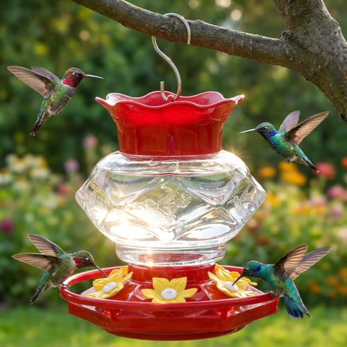 Fchstaer Plastic Hummingbird Feeders for Outdoors Hanging,1 Pack 18OZ Diamond Humming Bird Feeders with 6 Feeding Ports & Perch, Built-in Ant Moat, Gifts for Women, Durable Outside Garden Decor - color: Transparent-1PC