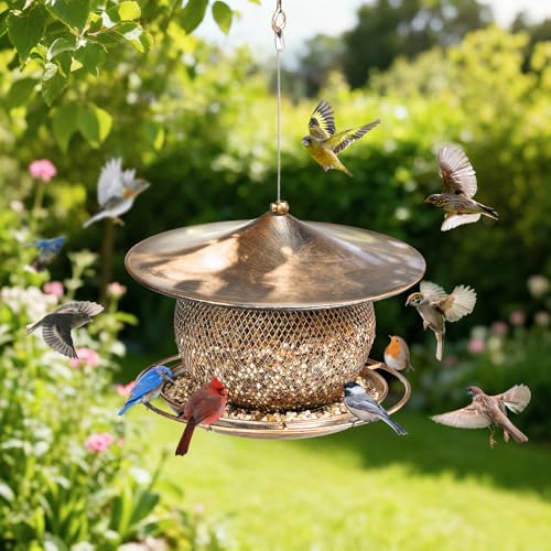 LBTING Bird Feeder, Wild Bird Feeder, Round Lantern-Shaped | Metal, For Hanging Outside Outdoors Garden Yard - style: Round Large