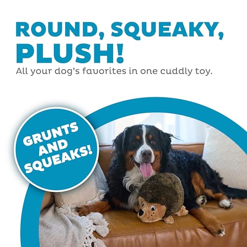 Outward Hound Hedgehogz Stuffed Dog Toy – Soft Plush Hedgehog, Grunts & Squeaks, 12" x 8.5" x 9", X Large (Pack of 12) - size: X Large (Pack of 12)