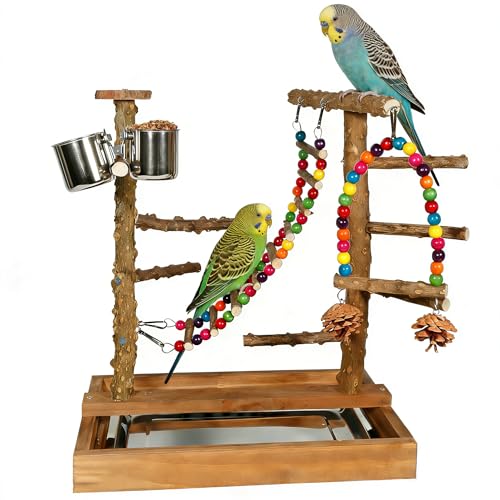 Wooden Bird Play Stand Parrots Playground Perch Stand with Bird Ladder Chewing Toys and 2 Stainless Steel Cups (Brown) - color: Brown