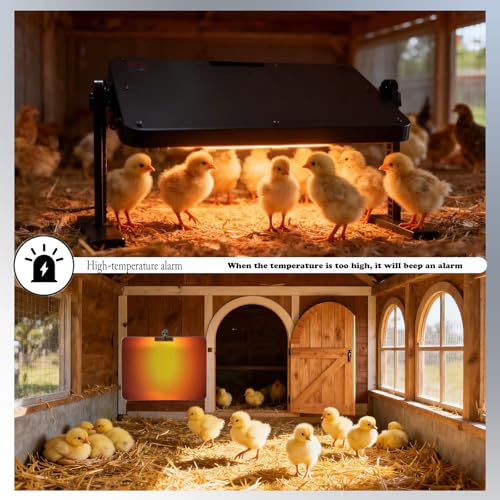Chicken coop Heater,with Adjustable Temperature Remote Control and Timer,Adjustable Height and Angle Chicken Heater,86-185 Control Temp+12 Hour Timer,Ideal for Chicken Coops Poultry Heating,16"x12" - color: Black