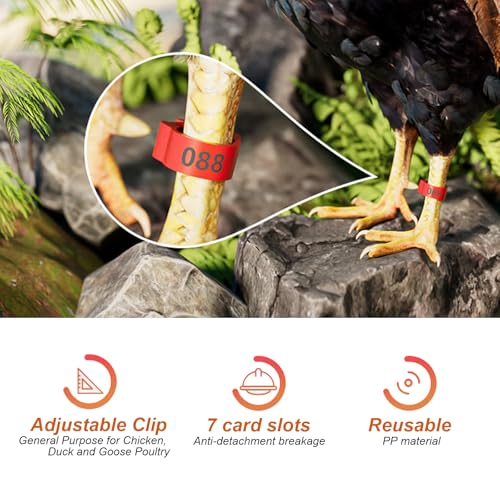 16mm 100 Pcs Adjustable Poultry Leg Bands,Chicken Leg Rings,Duck Leg Bands,5 Colors Laser Engraved Clip Rings for Large Poultry Chicken,Duck,Turkey,Goose Gamefowl Turkey