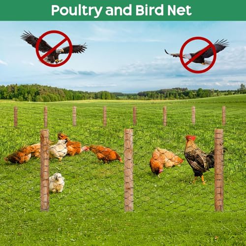 Unves 65 x 13 Ft Bird Netting for Garden, Heavy Duty Garden Net | Fruit Tree Netting Protect Fruit Trees and Vegetable Plants, Against Birds and Other Animals - color: Black, size: 13 x 65 Ft