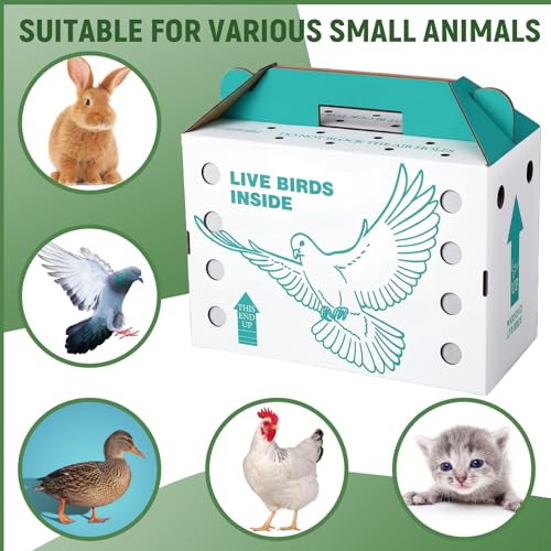 15 Pack Single Live Chicken Shipping Boxes 17.5 x 8.5 x 11.5" Live Bird Shipping Boxes Cardboard Pet Carrier with Handle for Poultry, Pigeons, & Canaries (Green) - color: Green