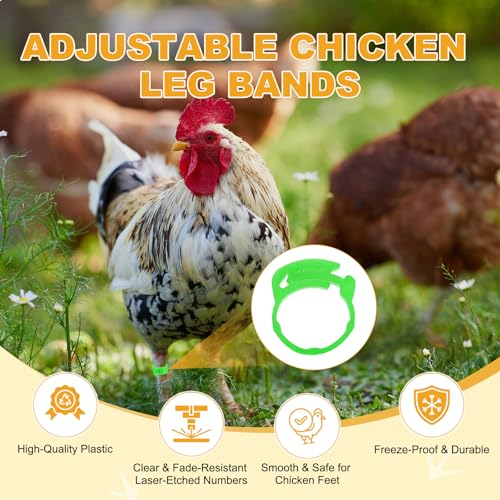 M METERXITY 50-Pack Adjustable Chickens Leg Bands, 17-22 mm Plastic Poultry Identification Chicken Leg Rings for Turkey/Duck/Goose/Chicks, Colorful Numbered Foot Clip on Tags [Green] - color: Green