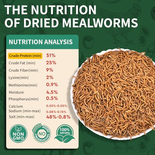 BUNTIE WORMS 5LB Dried Mealworms for Wild Birds and Chicken | High Protein Chicken Treats, 100% Natural Non-GMO Mealworms Chicken Feed for Bluebirds, Chickens, Ducks, Reptiles - size: 5 Pound (Pack of 1)