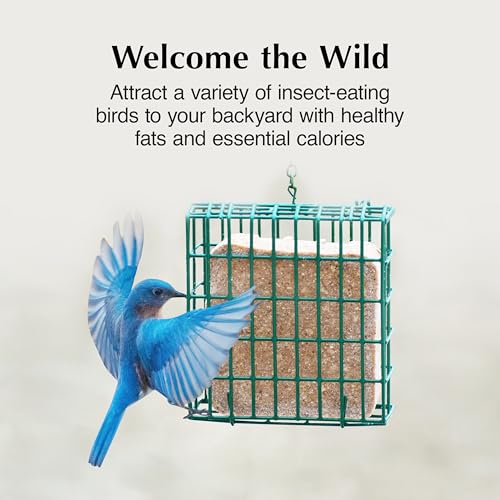 C&S Insect Suet Treat, Suet Cakes for Wild Birds, Pack of 8 | Suet cakes for woodpeckers, made with real insects, use in a suet feeder year-round - style: Insect, 8 Pack